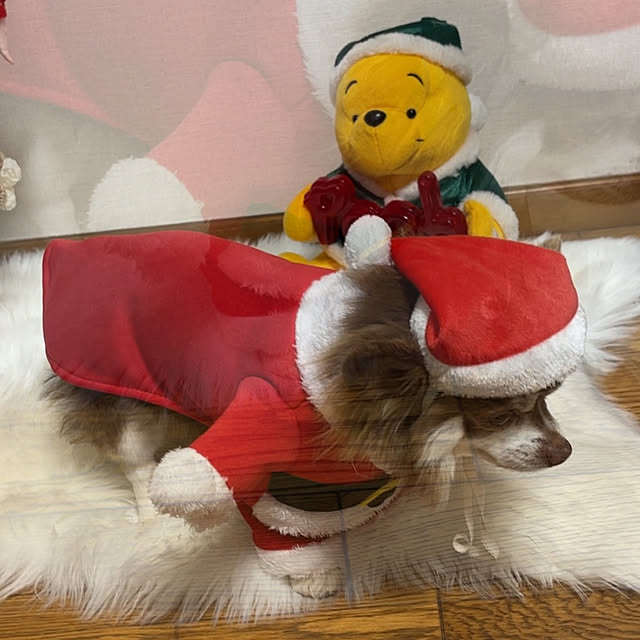 chIoeさんの部屋
