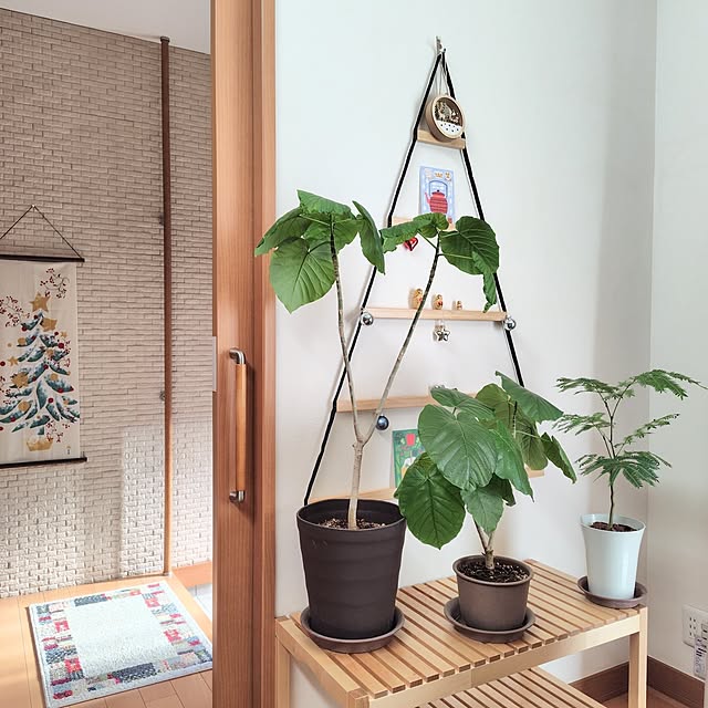 iku-yoneさんの部屋