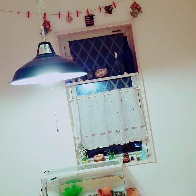 棚/DIY/ハンドメイドのインテリア実例 - 2016-08-26 23:18:12
