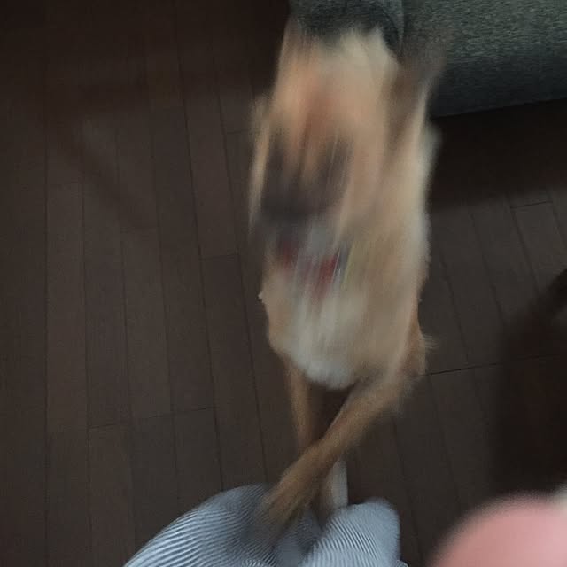 hikanaさんの実例写真