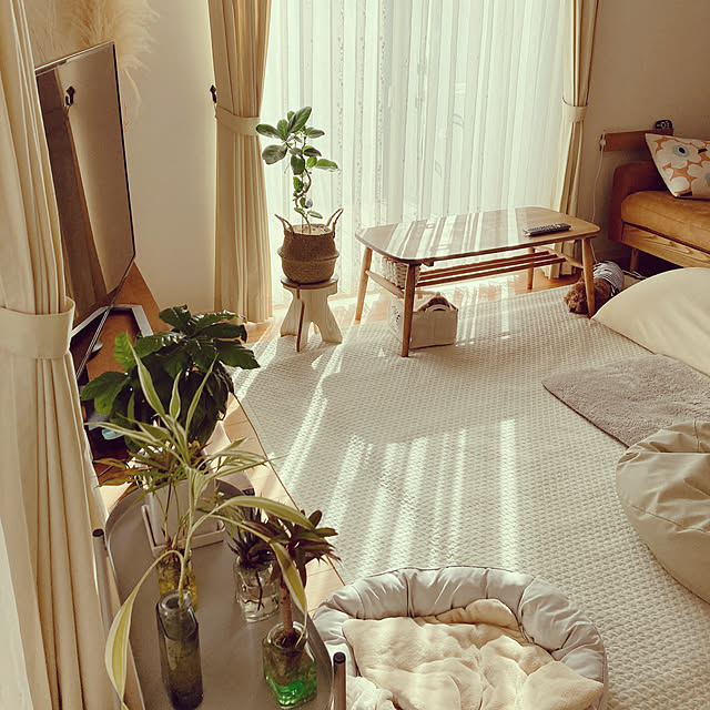 satomiさんの部屋