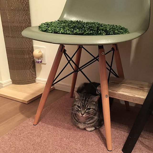 mikomaruさんの実例写真