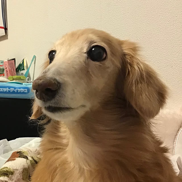 hanamimiさんの実例写真