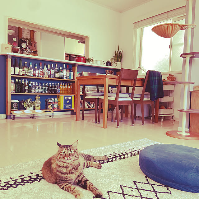 gachaさんの実例写真