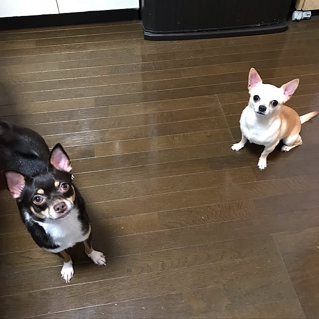 nacchintunnさんの実例写真