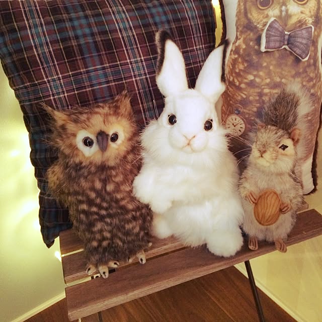 seriroom49さんの実例写真