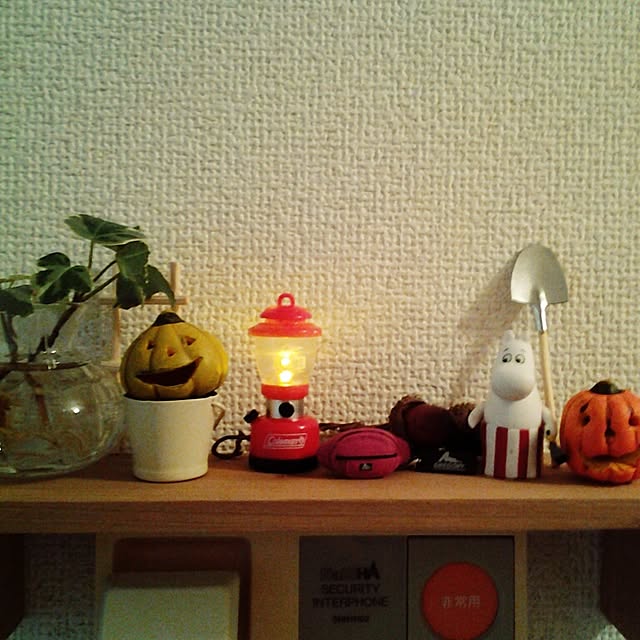 dotlaceさんの実例写真