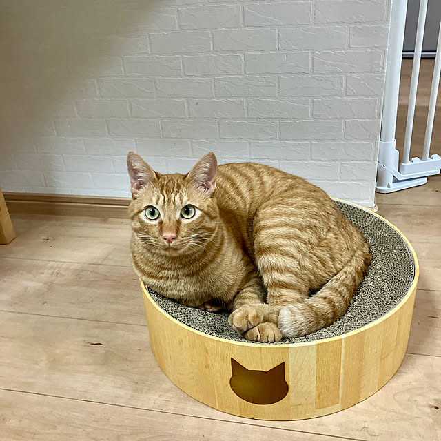 NrHyさんの実例写真