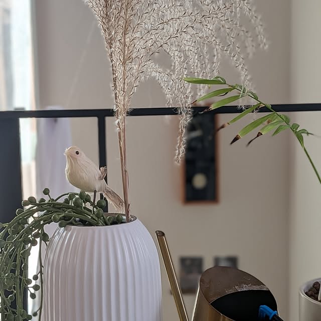 Maroさんの実例写真