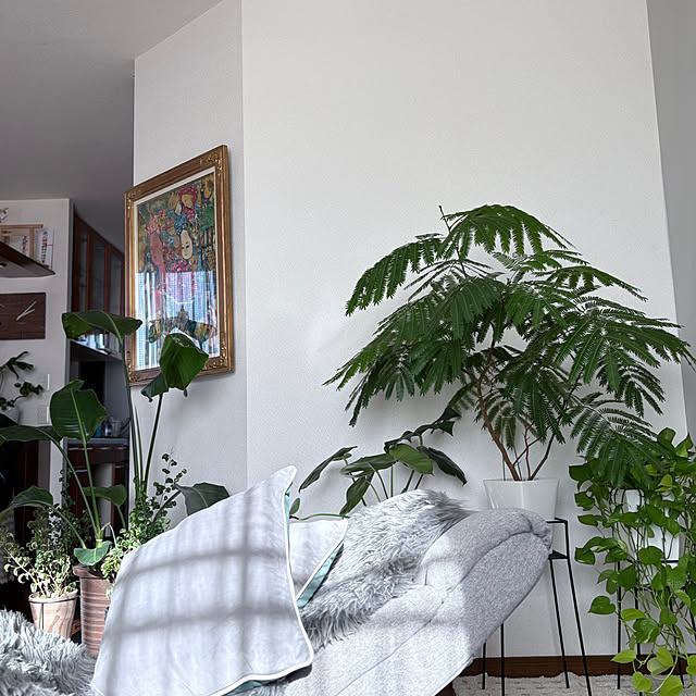 nao.naoさんの部屋