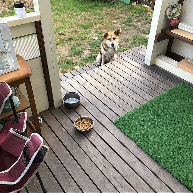 thukuneさんの実例写真