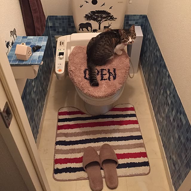 shoukoさんの実例写真