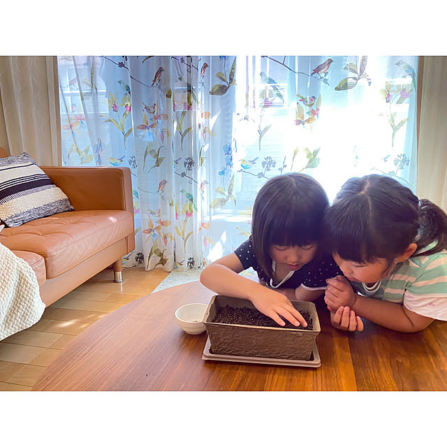 sasaeriさんの実例写真