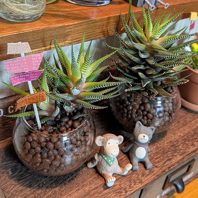 naoporonさんの部屋