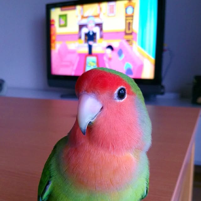 madokaさんの実例写真