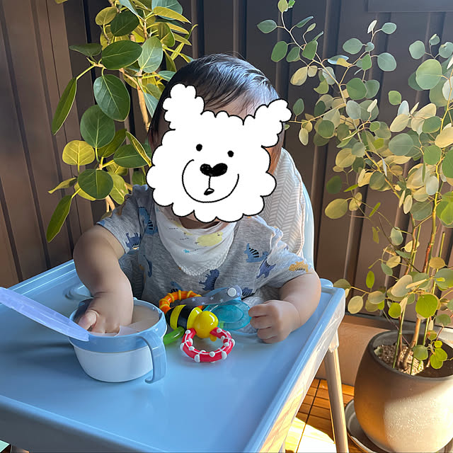 nyaaaaaanさんの実例写真