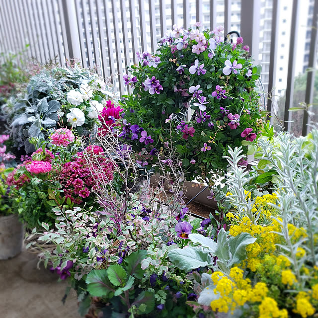 maronnanaさんの実例写真