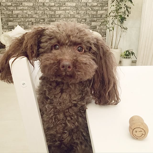 noelさんの実例写真