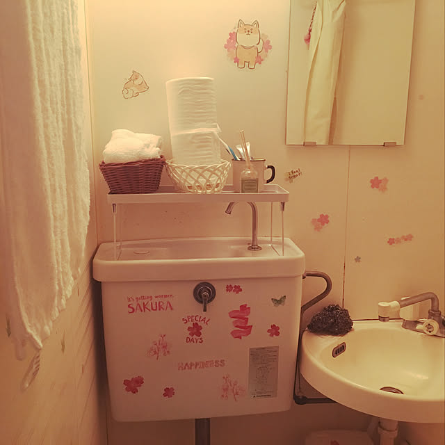 irohaさんの実例写真