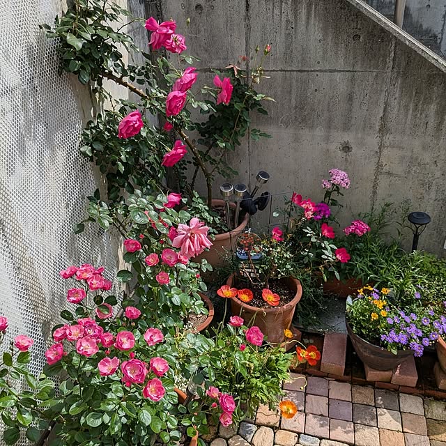 kazuさんの部屋