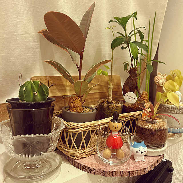 yoyoyokさんの実例写真