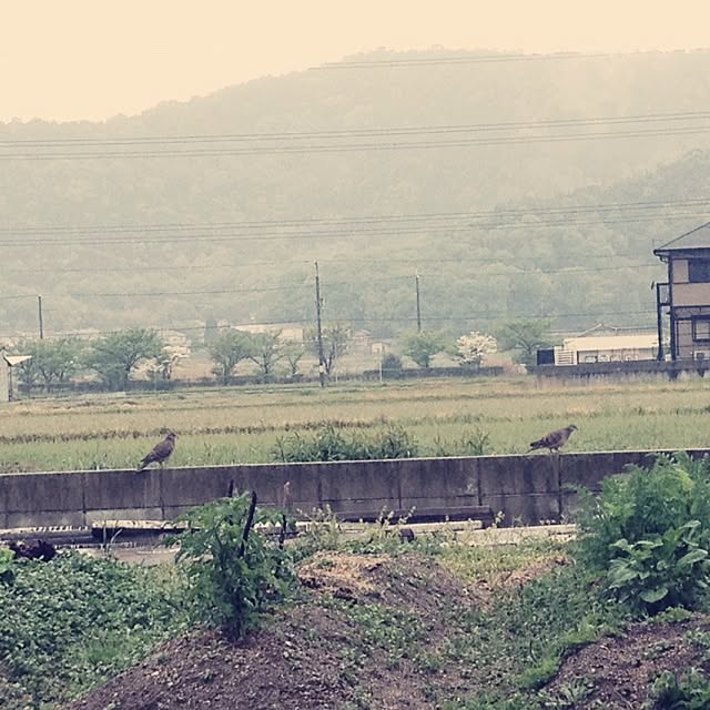 wさんの実例写真