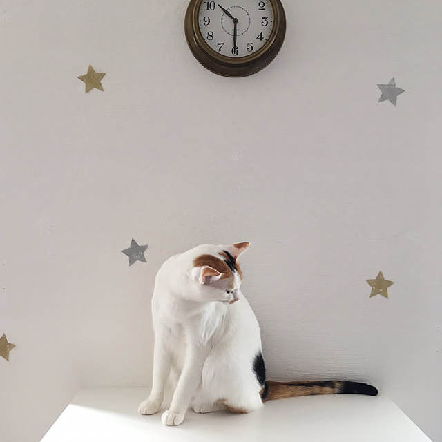 kajiさんの実例写真
