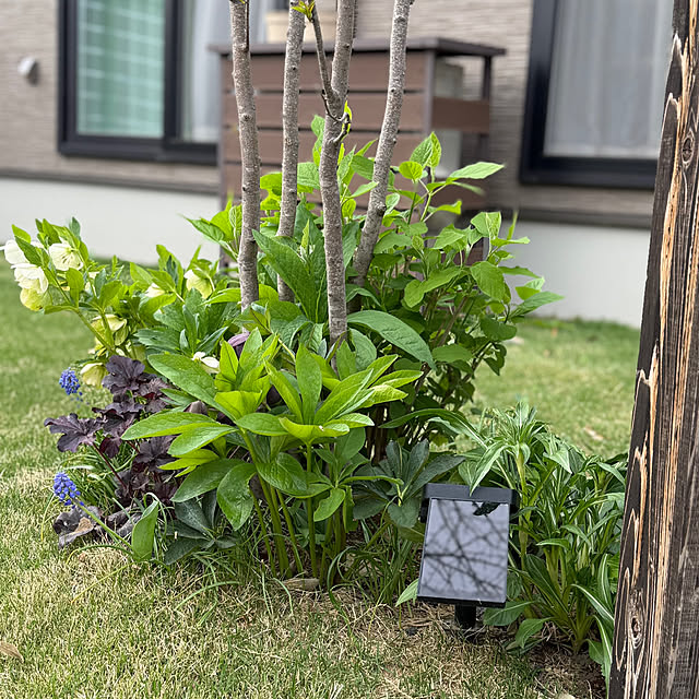 kurinokiさんの実例写真