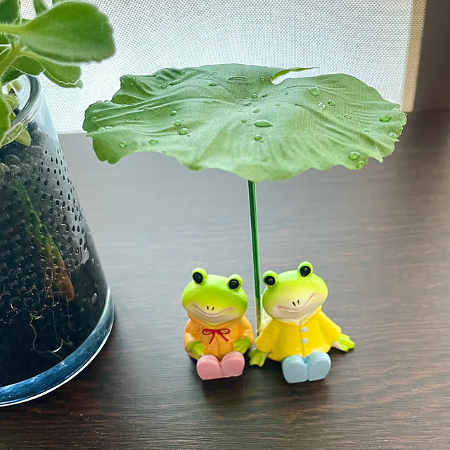 Riku2009さんの実例写真
