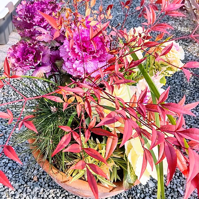 NSDさんの実例写真