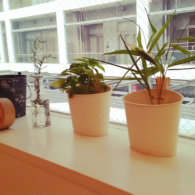 Masahiroさんの実例写真