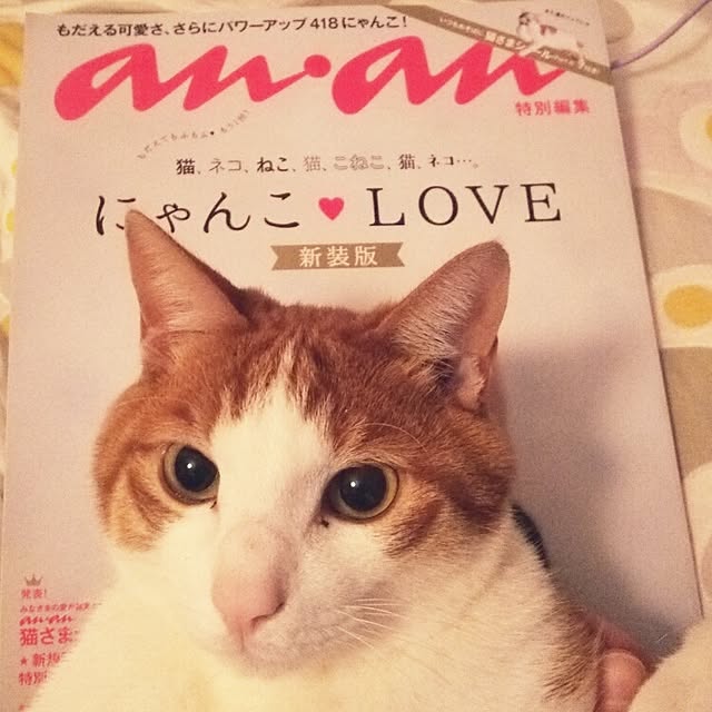 tamacharouさんの実例写真