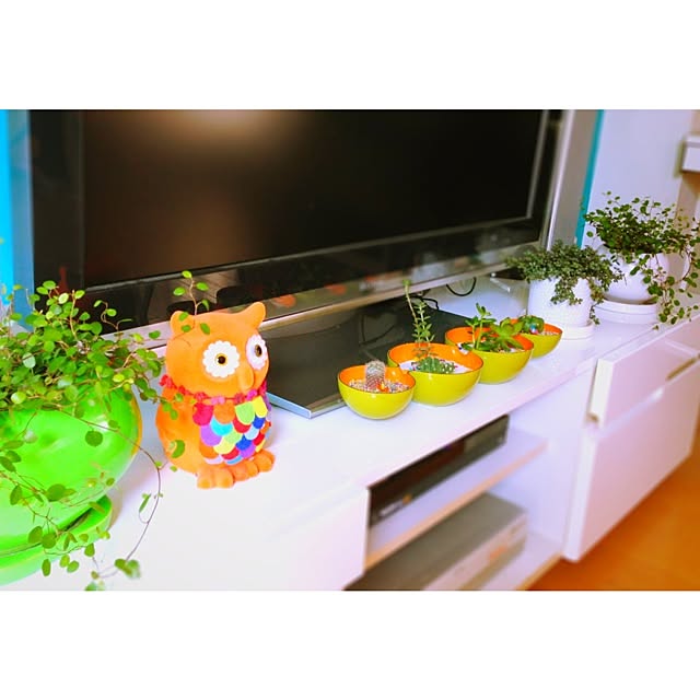 popさんの実例写真