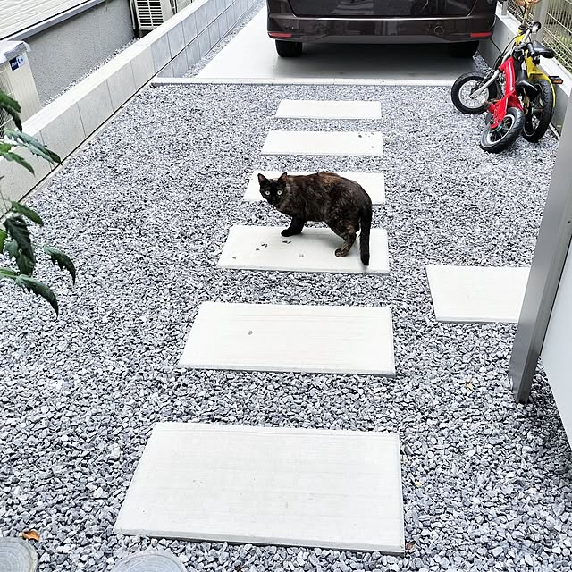 tamaさんの実例写真