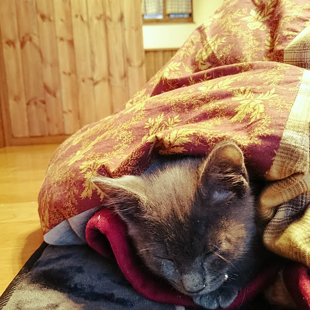 annさんの実例写真