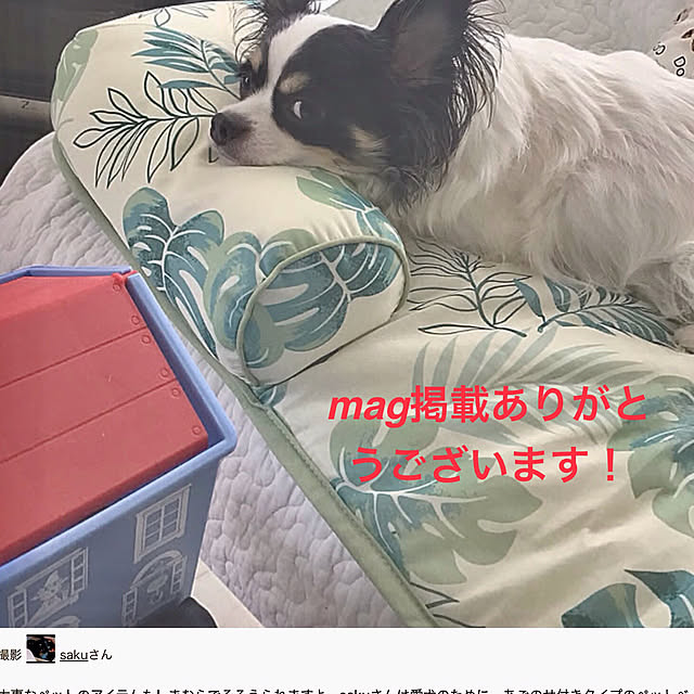 sakuさんの実例写真