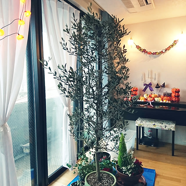 bonobono54さんの実例写真