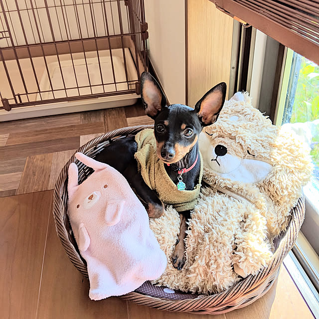 shizuponさんの実例写真
