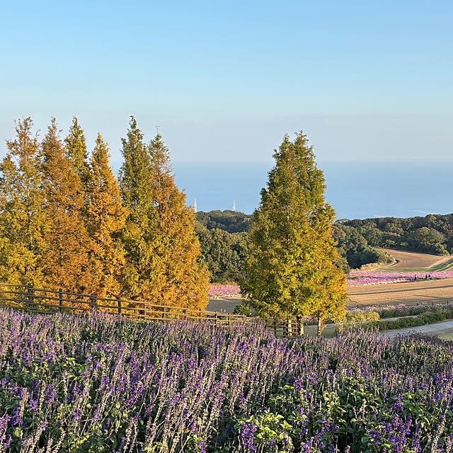 tututu0204さんの部屋