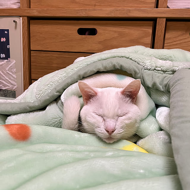 hanaさんの実例写真