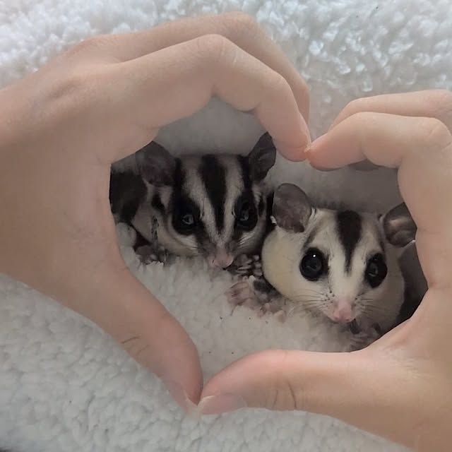 Annaさんの部屋