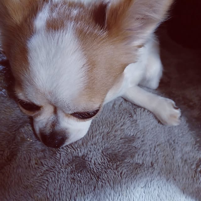 hiro-yさんの実例写真