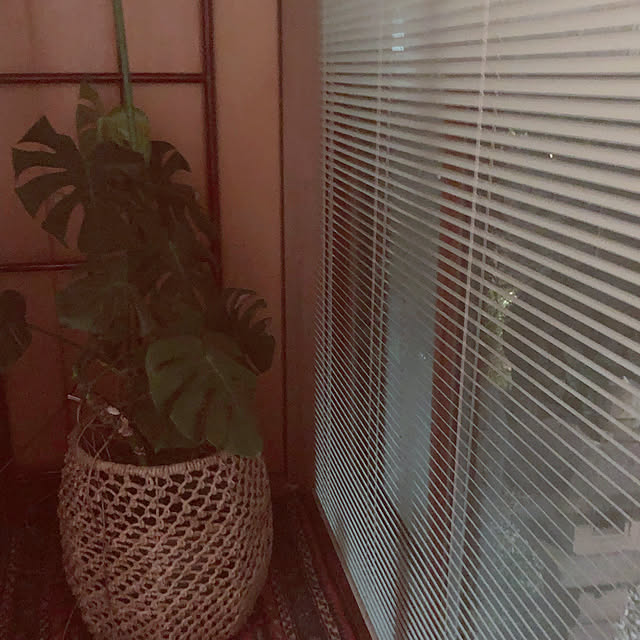 chacoさんの実例写真