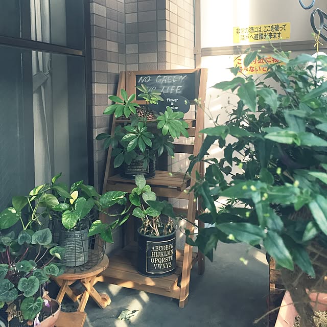 kiyomiさんの実例写真