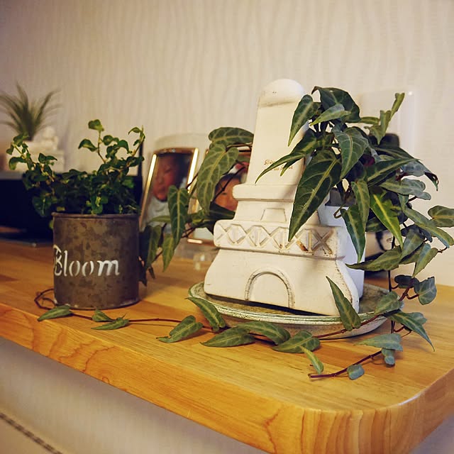 su_home_miさんの実例写真