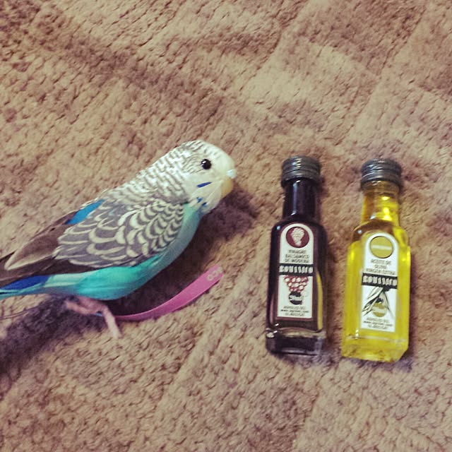 Naomiさんの実例写真