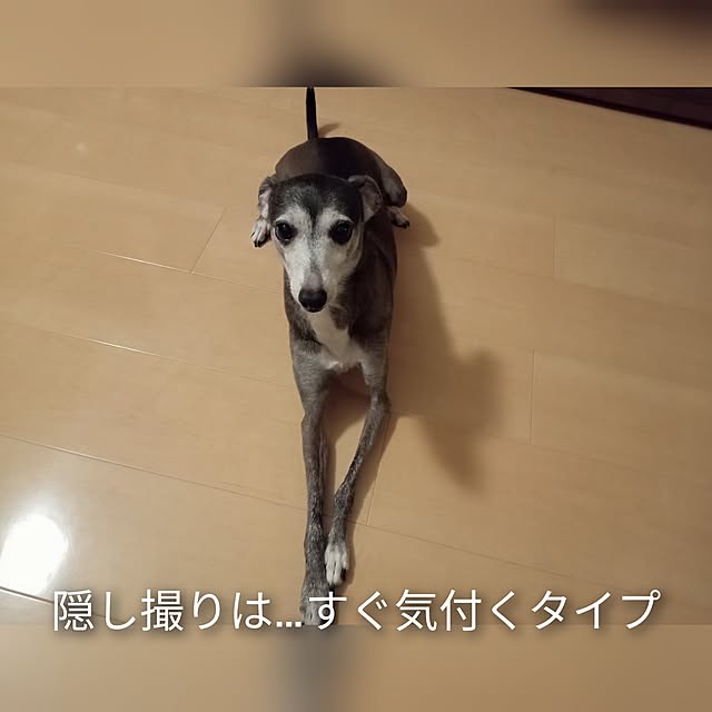 moruさんの部屋