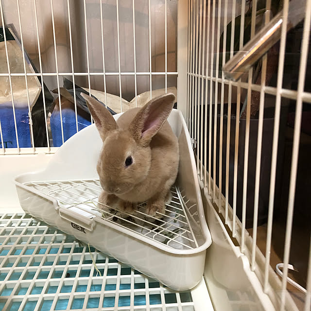 minagiさんの部屋