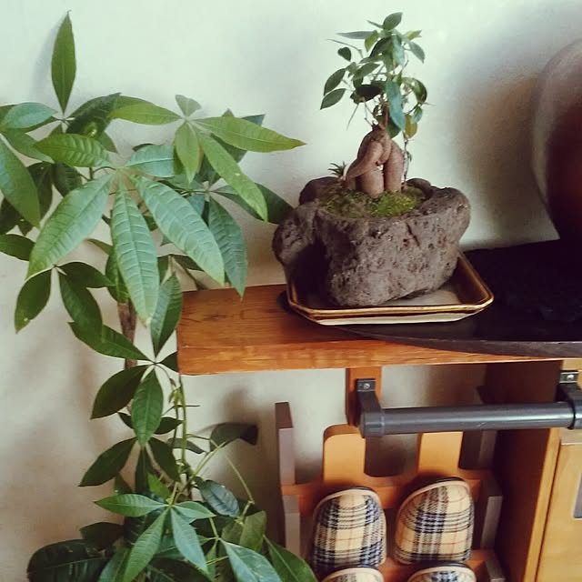 awadu-1970さんの実例写真