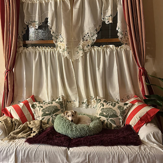 uzuraさんの実例写真